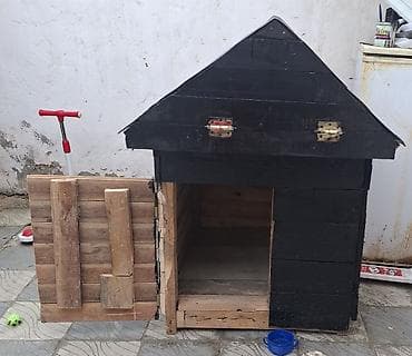 Asia: Taxta it evi istənilən olçudə istənilən forçada - Material: qalın — 2