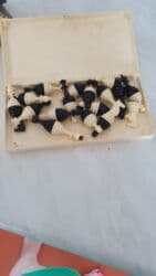 olympiakos karabağ bilet: Masaüstü oyunlar — 2