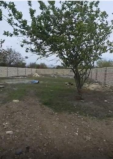 torpaq satış: 9 sot, Tikinti, Mülkiyyətçi, Kupça (Çıxarış) — 5