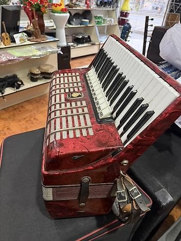 Barabanlar: Akustik Akkordeon, İşlənmiş, Pulsuz çatdırılma — 3