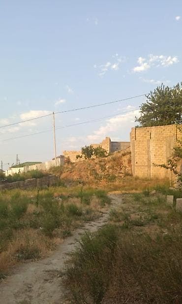 tokla electronics: 3 sot, Tikinti, Mülkiyyətçi, Kupça (Çıxarış), Texniki pasport — 1