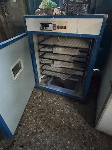 inkubator rus: Tam avtomat — 3