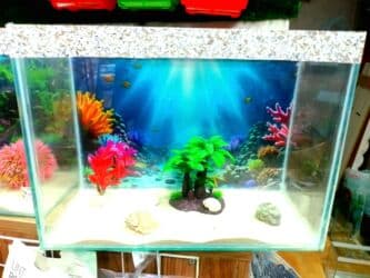 фильтр для аквариума: 🐠 NALASA Akvaryum Dünyası 🐠 - Hazır, istənilən növ akvaryumlar — 2