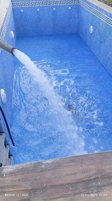 tulpan gulleri: 🏊‍♂️ HOVUZ TƏMİZLİK XİDMƏTİ 🏊‍♀️ Hovuzunuz yaşıllaşıb və ya — 6