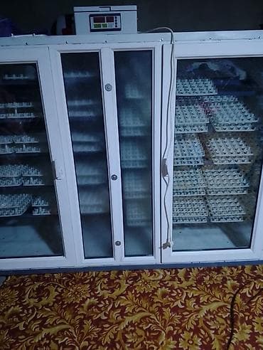 Сельско-хозяйственное оборудование: 5000 яиц, Полностью автоматическая — 3