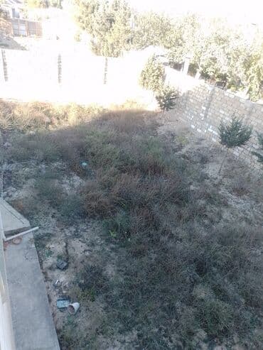 дачные земельные участки: Tikinti — 5