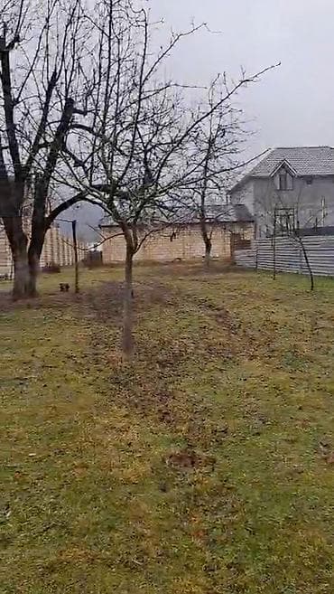 seher baglari ev satilir: 5 sot, Tikinti, Mülkiyyətçi, Kupça (Çıxarış) — 4