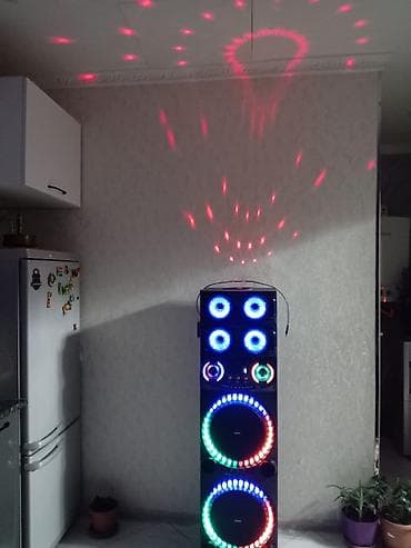 Party akustik sistemi – çoxfunksiyalı, LED işıqlıIrsaddan alinib uc