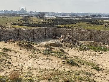 Tikinti