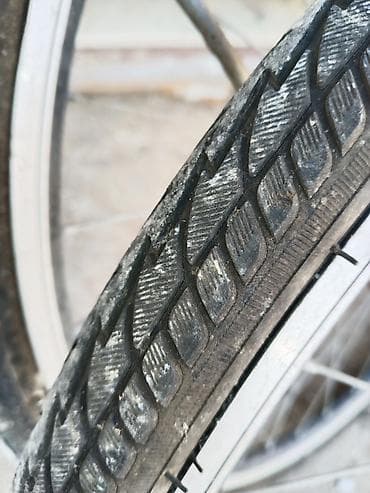 16 şam disk: Velosibetlər Satilir Sürülmədiyi Üçün Heç Bir Prablemi Yoxdu — 2
