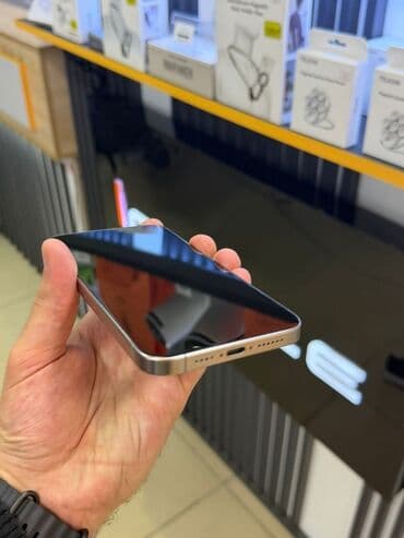 ıphone 7: IPhone 15 Pro Max, 256 GB, Gümüşü, Simsiz şarj — 4