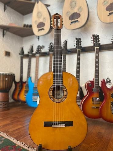 gitara çexolu: Valencia VC 264 — 1