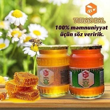 şam balı: Azərbaycanin cənnət diyarı Şəki-Zaqatala zonasının səfalı təbiətindən — 1