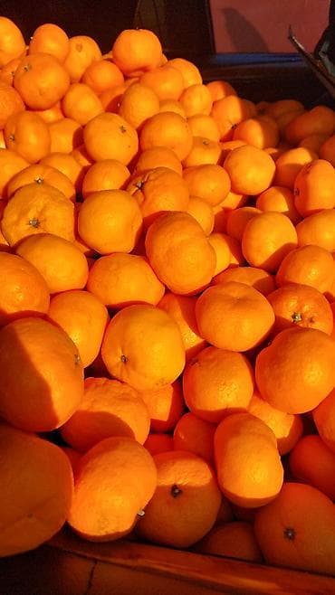 İçkilər: Mandarin (sitrus)şirin qənd kimi - Növ: şirin mandarin, nazik qabıqlı — 2