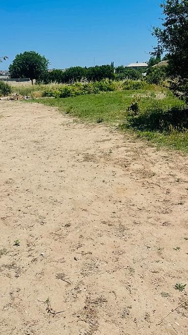 Daşınmaz əmlak: 12 sot, Tikinti, Kupça (Çıxarış) — 2