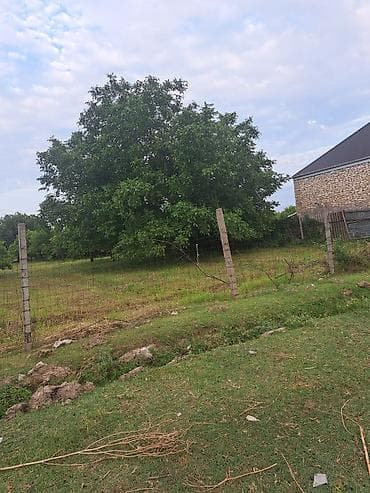 Torpaq: 14 sot, Kənd təsərrüfatı, Kupça (Çıxarış) — 5