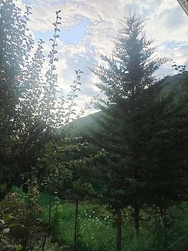 ev axtaranlar: Qubada Qeçreşde həyət evi kirayə verilir – təbiətin qoynunda, sakit — 4
