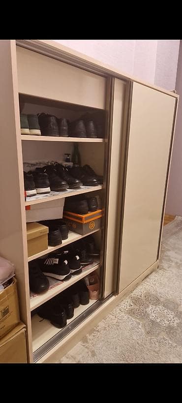 qadin sekilleri: 2 qapılı, Digər rəng, Digər material Ayaqqabı dolabı — 2