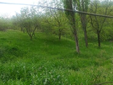 torpaq lokbatan: Yaşıl otlar və müxtəlif ağaclarla örtülmüş, yamaclı ərazidə yerləşən — 9