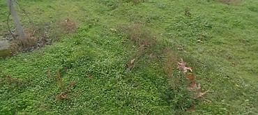 4 sot, Tikinti, Makler, Kupça (Çıxarış)