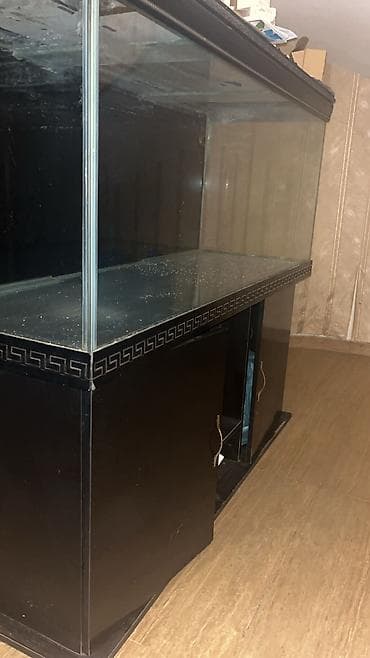 at qiyməti: Dördbucaq akvarium, Boş, 700 l, Ünvandan götürmə — 1