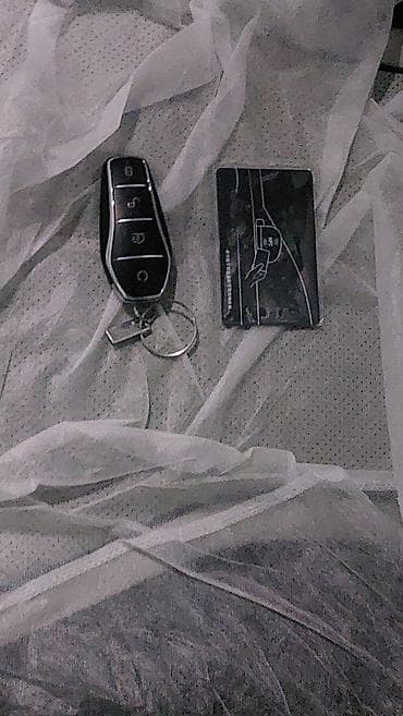 ford 7 1: BYD Destroyer 05: 1.5 l | 2025 il 129 km Sedan — 7