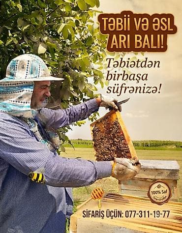 şanlı bal: Tovuz meşələrində bir birindən fərqli, əhəmiyyətli çiçəklərdən əldə — 1