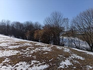 ehmedlide 2 otaqli evlerin satisi: 100 sot, Mülkiyyətçi, Bələdiyyə — 8