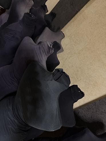 Avadanlığın icarəsi: Qadın, Qara — 2