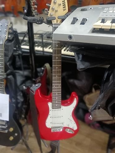 Звуковое оборудование: Elektro gitara — 1