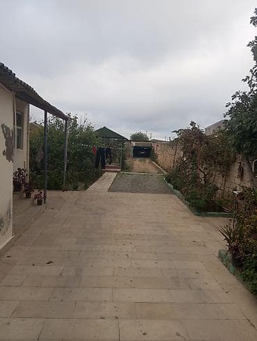 bineqedide satilan evler: 8 sot, Kənd təsərrüfatı, Mülkiyyətçi, Bələdiyyə — 4