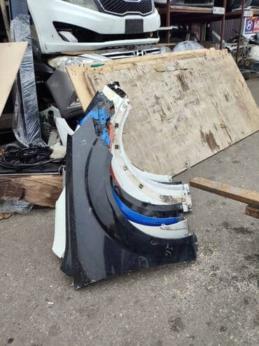 Hyundai Elantra Krilo Hyundai Sonata Krilo Hyundai Ix35 Krilo Kia Rio lalafo.az -da Hyundai Elantra Krilo Hyundai Sonata Krilo Hyundai Ix35 Krilo Kia Rio