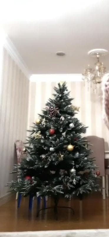 suni bitki: 🎄 Süni Yeni İl yolkası satılır! 🎄 Hündürlüyü təxminən 170 sm-dir — 1