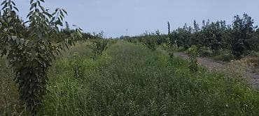 sebailde kiraye evler: 44 sot, Kənd təsərrüfatı, Mülkiyyətçi, Kupça (Çıxarış) — 9