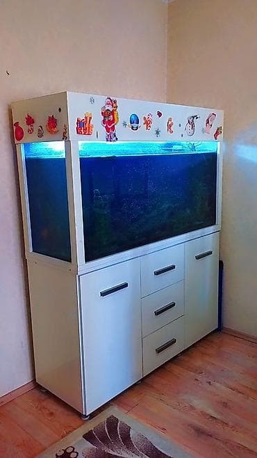 Endirim edildi❌ Akvarium 360 azn Icinde 3 eded baliq ve icinin