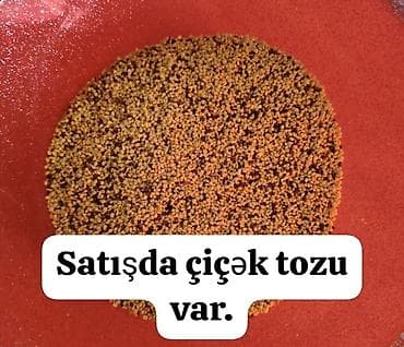 🌼 Təzə çiçək tozu satılır 1 kq — 40 manat Təbii və keyfiyyətli lalafo.az -da 🌼 Təzə çiçək tozu satılır 1 kq — 40 manat Təbii və keyfiyyətli