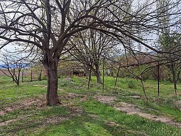 1 sot nece hektar: 24 sot — 10