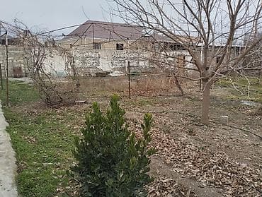 lalafo şəmkir ev: 9 otaq, 196 kv. m, Kredit yoxdur, Orta təmir — 4