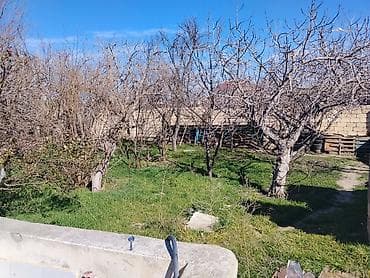 xızı ev: 5 otaqlı, 100 kv. m, Kredit yoxdur, Orta təmir — 10