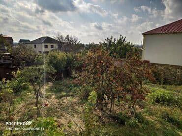 недвижимость в азербайджане купить: Novxanıda Qurd dərəsi deyilən ərazidə, əsas yoldan təxminən 800 metr — 3