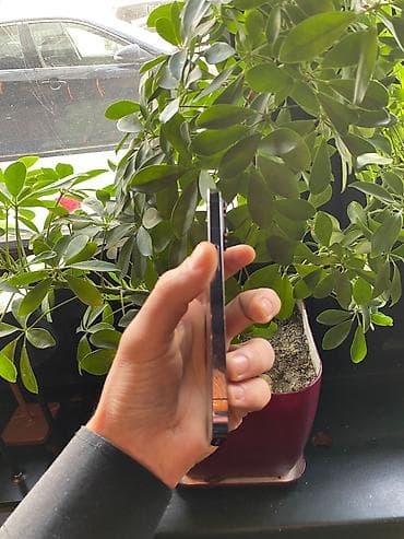 14 pro ikinci el: IPhone 14 Pro, 256 GB, Black Titanium, Simsiz şarj, Face ID — 5