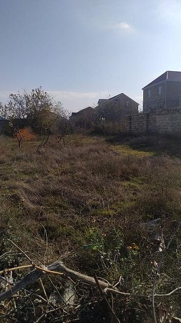 torpaq oğuz: Saray qəsəbəsi. Nazim marketə yaxın. 5.5 sot torpaq satılır — 1