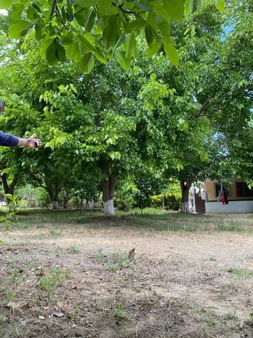 xoçəsən: 17 sot, Tikinti, Mülkiyyətçi, Bələdiyyə — 5