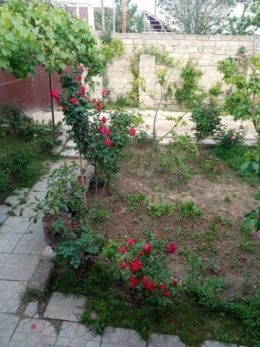 baki otel qiymetleri: İcarəyə təqdim olunur geniş və işıqlı otaq - İki ayrı tək çarpayı - — 19