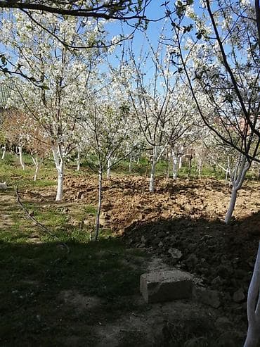 balaxani torpaq satisi: 2 sot, Tikinti, Maklerlər narahat etməsin, Kupça (Çıxarış) — 2