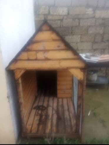 Taxta it evi - Material: tamamilə taxtadan yığılmış, yan və ön