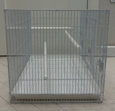 qefes: Metall quş qəfəsi – iri həcimli, ağ rəng. Xüsusiyyətlər: - — 1