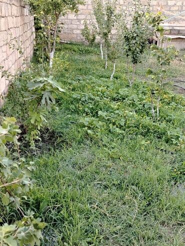 biləcəridə torpaq satılır: 5 sot, Tikinti, Mülkiyyətçi, Bələdiyyə — 6