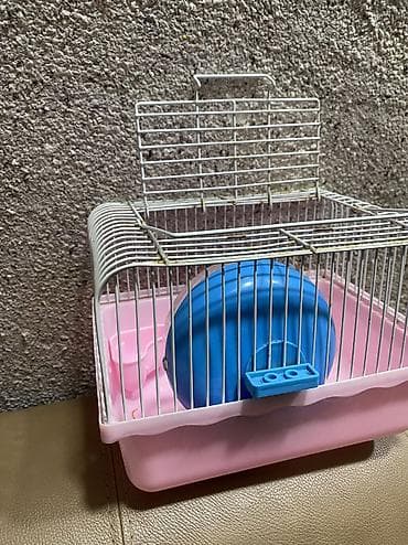 Yuvalar: Qəfəslər — 2