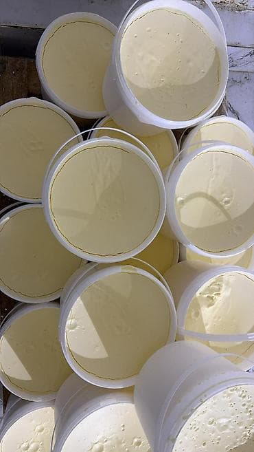 Pendir: Qaymaq pendir təbii kənd məhsullarının satılması qaymaq yağ süd qatıq — 2